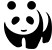 panda